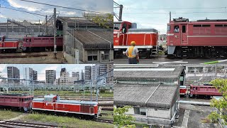 EF81 81+DE10 1704,1571　[2024.9.18]