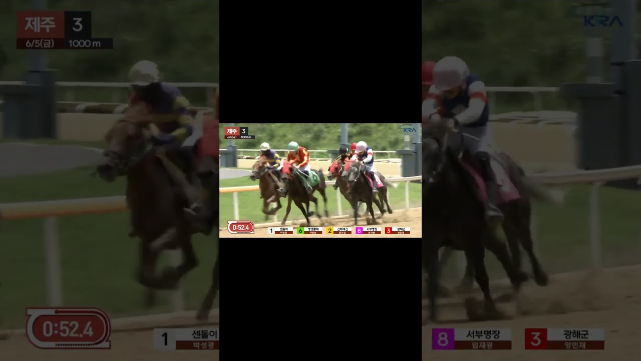 12배두방으로적중