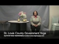 St. Louis Corporate Yoga: Client Carla Johnson Testimonial