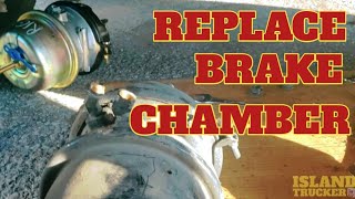 Replace brake chamber | freightliner cascadia | tractor trailer