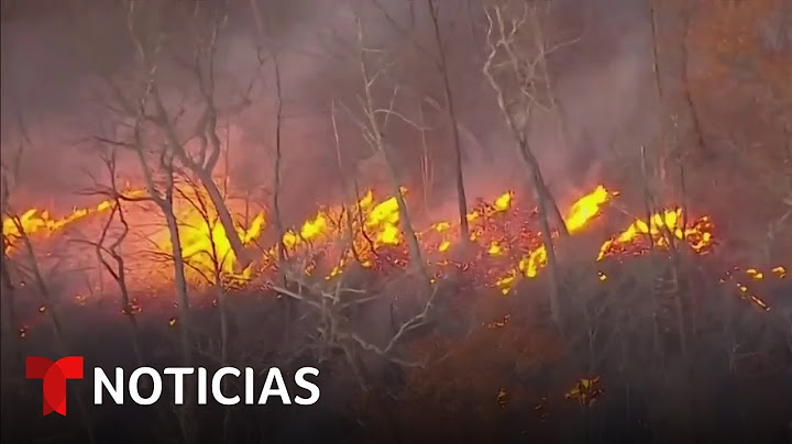 Los incendios forestales siguen afectando buena parte del Noreste de EE.UU. | Noticias Telemundo