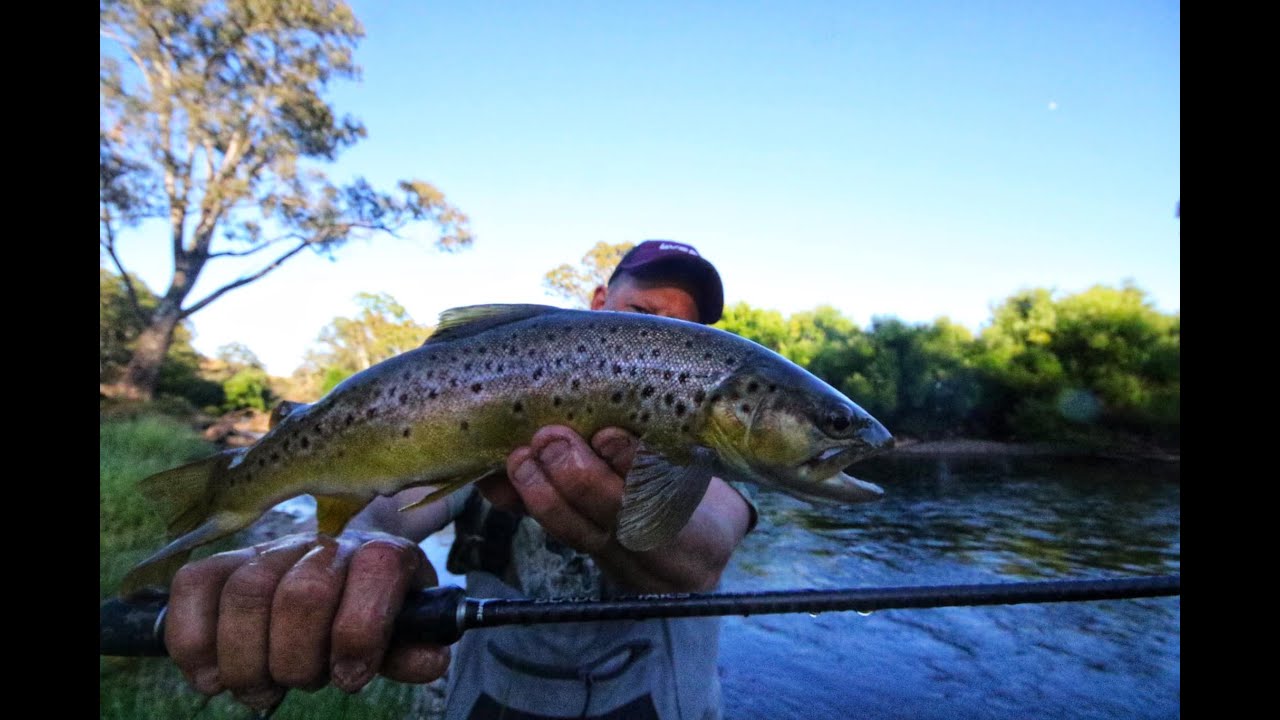 Lure Fishing the Goulburn River YouTube