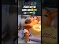 😺🎂Cat birthday celebration🇺🇲🇧🇩🇮🇳😺 #Cat #CuteCat #CatShorts #Kitten #FunnyCat #CuteAnimals