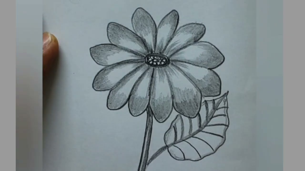 howtodraw beatifull flowers Rose drawing easy rose flowers arts mahinartseasy  pencil drawing 