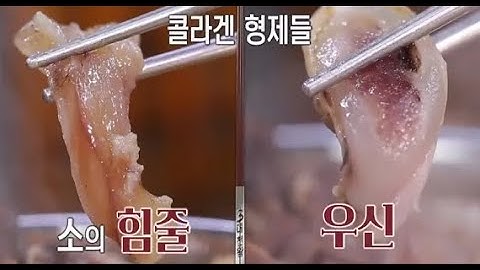Baek jong-wons top 3 chef kings vietsub năm 2024