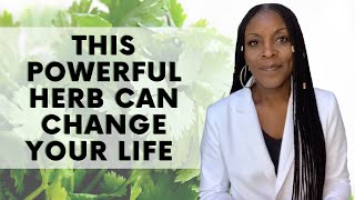 This Powerful Herb Can Change Your Life | Cilantro Health Benefits