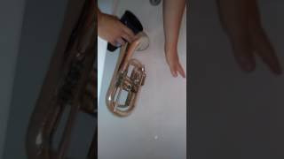 Cleaning a Baritone How To Clean A Marching Baritone