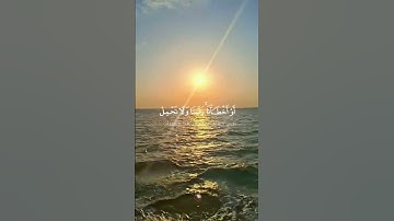 سورة البقرة 🌟 القارئ أحمد العجمي 🌙 #نور_القرآن #قرآن