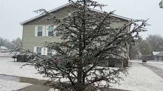 Snowing in Oklahoma @CarlaJo-s1u