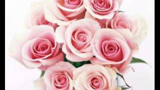 Küllenen Aşk Resimi