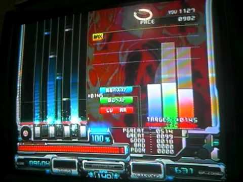 CSDD カゴノトリ フルコン