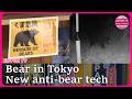 Bear sighting in Tokyo sparks concern as Japan turns to new tech