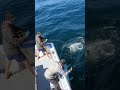 【ショアジギング】手元にガツン！シーバスタックルが悲鳴をあげる大物との死闘【強烈な引き】