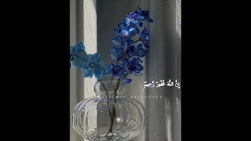 القارئ عبدالرحمن مسعد / واستغفر الله ان الله غفور رحيم