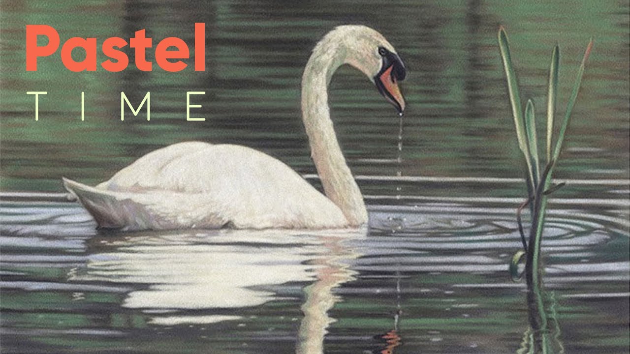 Swan and Reflections in Soft Pastel - Timelapse