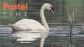 Swan and Reflections in Soft Pastel - Timelapse screenshot 4