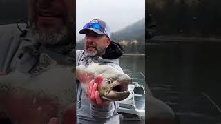 Monster Trout #flyfishing #fishing #fishinglife #angler