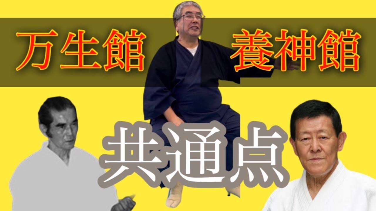 В чем сходство основных техник Ёсинкан Айкидо и Мансейкан Айкидо?