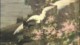 Young The Giant - Mind Over Matter ( reprise ) sped up