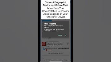 Rajan E Services (AEPS)