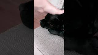 She Isent Mad At All