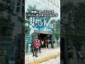 日本初のハリポタの旗艦店が原宿にオープン！ #ハリーポッター #グルメ