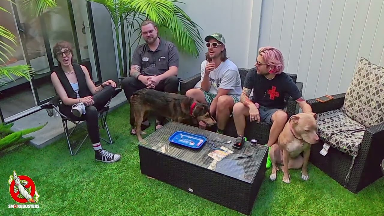 Познакомьтесь с собаками, отобранными судьями на Кубке American Autoflower.