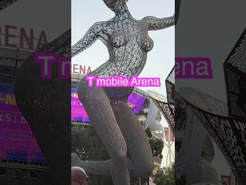 How much does it cost to go to T mobile Arena