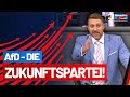 AfD - die Zukunftspartei! - Dirk Brandes - AfD-Fraktion im Bundestag