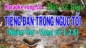 Karaoke TIẾNG ĐÀN TRONG NGỤC TỐI - DÂY XỀ KÉP