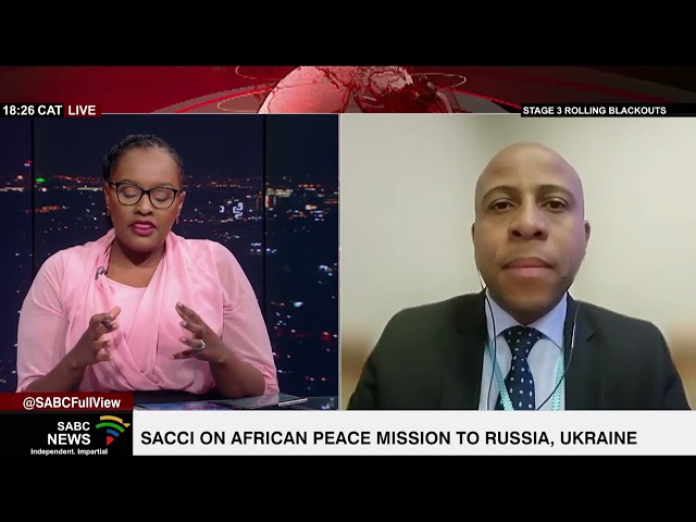 SACCI welcomes Africa Peace Mission intervention on Russia-Ukraine: Adv. Mtho Xulu class=