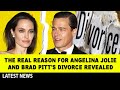 The real reason for Angelina Jolie and Brad Pitt&#39;s divorce revealed