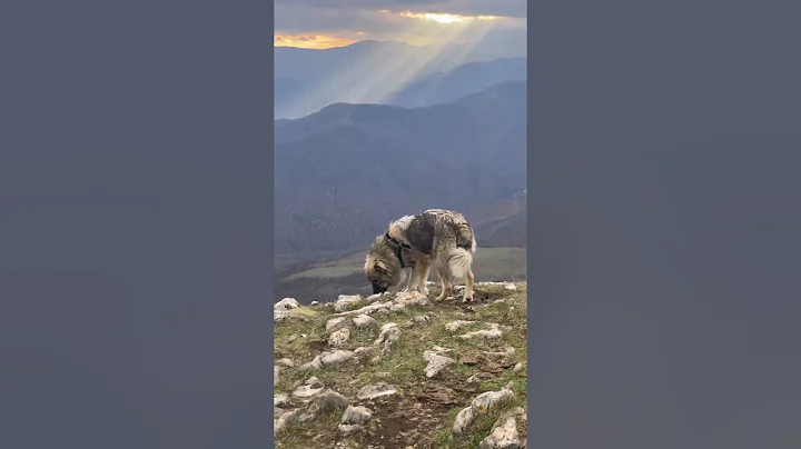 13 декабря 2025 г.