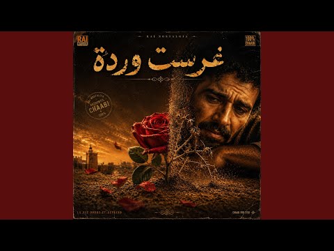Ghrasst warda