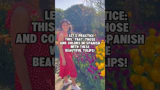 Let´s Practice This, That, Those And Colors in Spanish Whit These Beautiful Tulips   #learnspanish