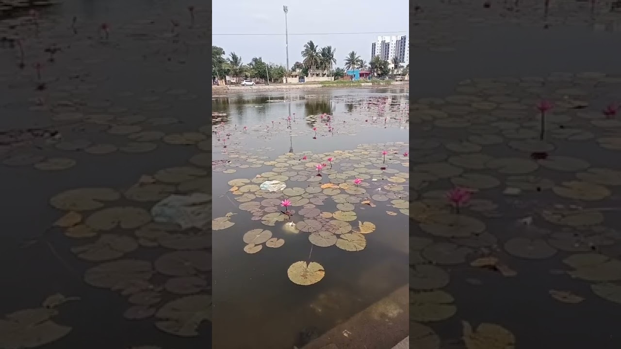 100km Ride | Near Thhiruporur | 12 February 2022 | 384400km | Anandhaselvan