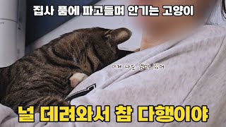 무조건 심쿵하는 영상 : 구조를 고민했던 1년이란 시간이 너무 미안했던 날