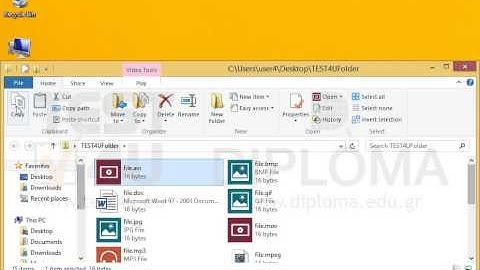 Copy the file file.avi from the TEST4UFolder folder of your desktop to the clipboard.