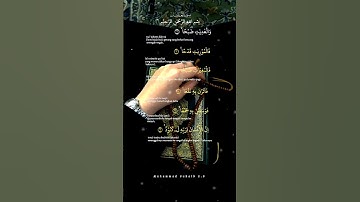 سورة العاديات بصوت جميل ❣️ راح نفسية تلاوة خاشعة ومؤثرة ❣️#سورةالعاديات #سورةالفيل #اكسبلور #قرآن
