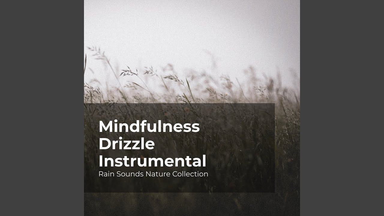 Rainfall Pelting Down YouTube rainfall-pelting-down-youtube