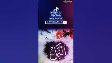 سورة النمل #اكسبلور #تيك_توك #اكسبلورر #دويتو