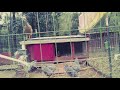 Time to tuck the birds in for the night - Evening Routine