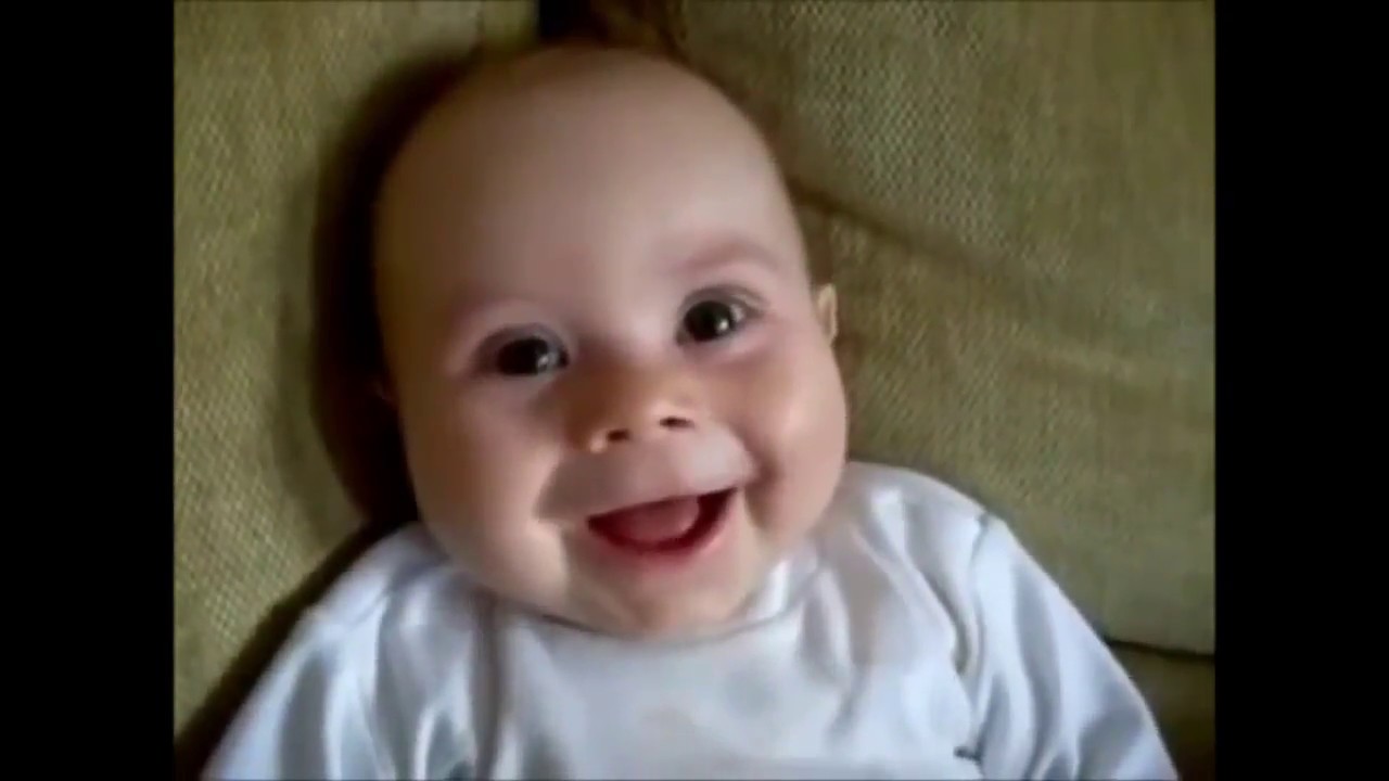 Как выглядит смешинка фото