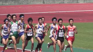20130317 沖縄陸上競技1500ｍ