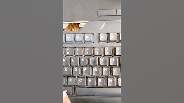 how to enter division sign | how to type division sign | how to type division in laptop | division