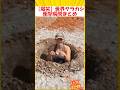 【爆笑】世界のヤラカシ衝撃瞬間まとめ🤣🤣🤣