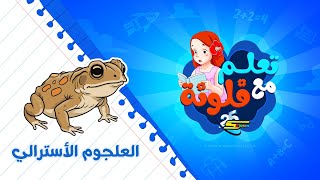 سبيستون | تعلم مع فلونة | العلجوم الاسترالي 🐸