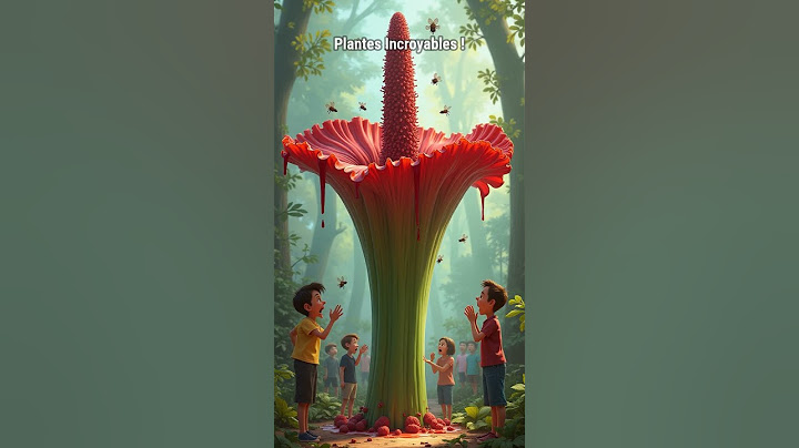 Les Plantes les Plus Incroyables du Monde