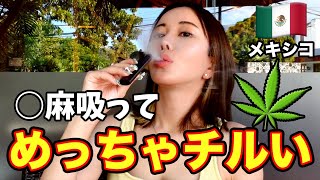【これって合法？】進化した大麻事情