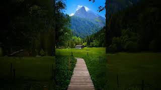 “Nature perfection 🌿🏔️#dreamyearth 🌎#naturevibes#softvibes#healingnature#relaxingvideo”